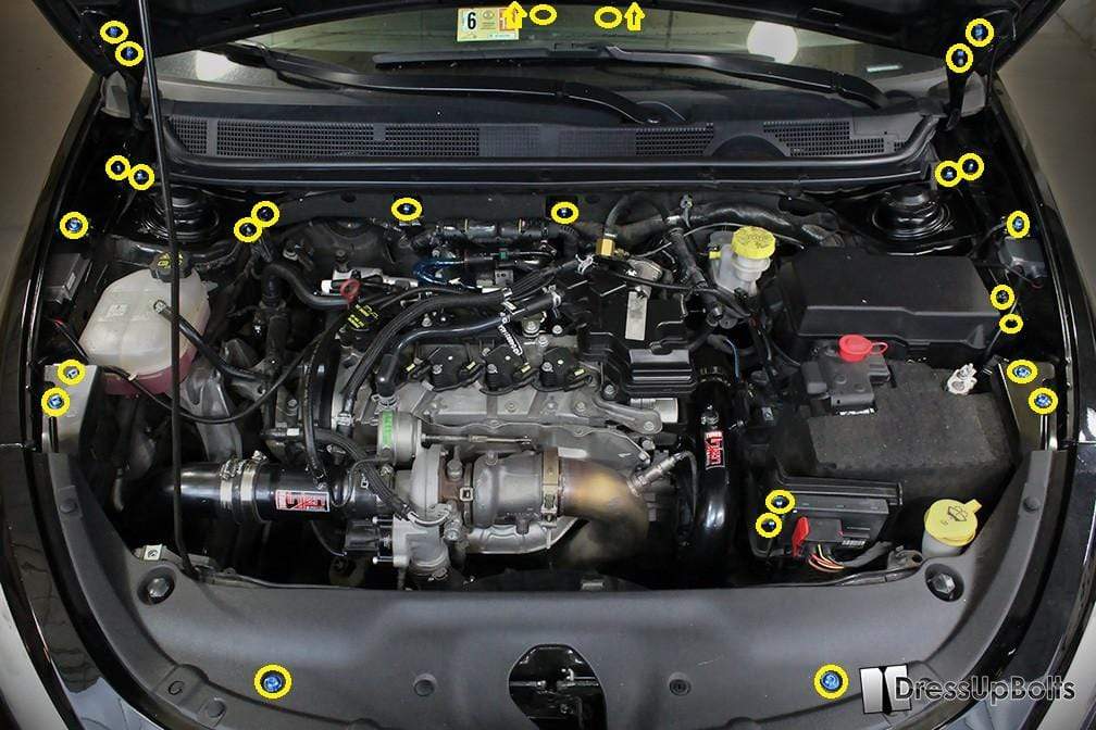 Dodge Dart (2013-2016) Titanium Engine Bay Kit - Image 2