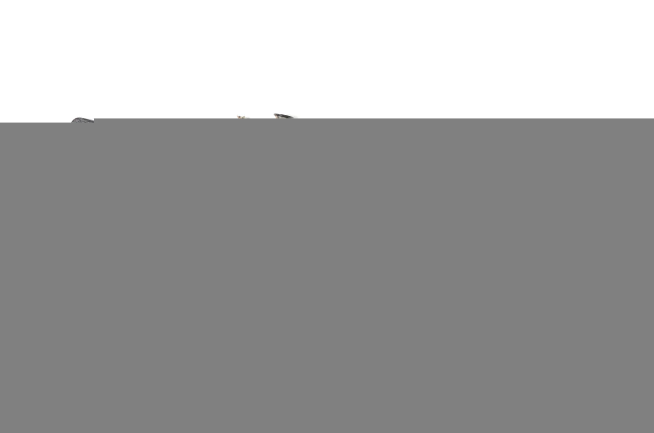 GrimmSpeed License Plate Delete For Subaru Impreza/WRX/STI 15+ - Image 5